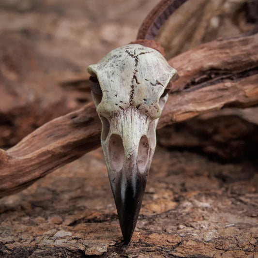 Raven Skull Necklace